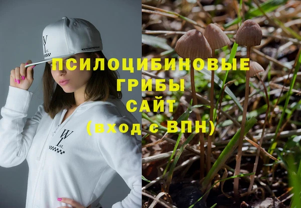 спиды Абаза
